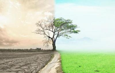 technik ochrony środowiska